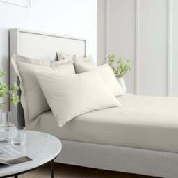 Bianca Percale Cream Standard Pillowcase Pair - 200TC Percale Natural Std Pillowcase Pair - thumbnail 2