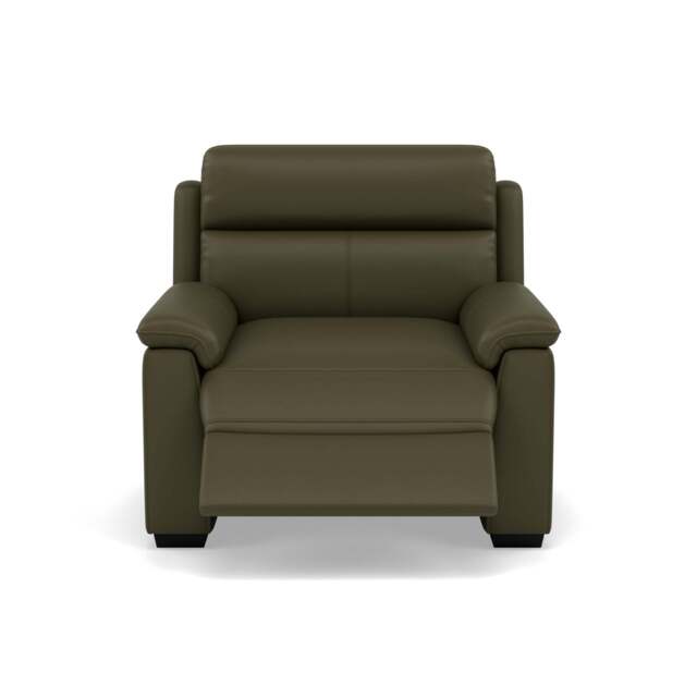 Eldon Recliner Armchair - Power Recliner Chair CAT20S - Power Recliner with USB - NWS-548E DARK OLIVE - image 1