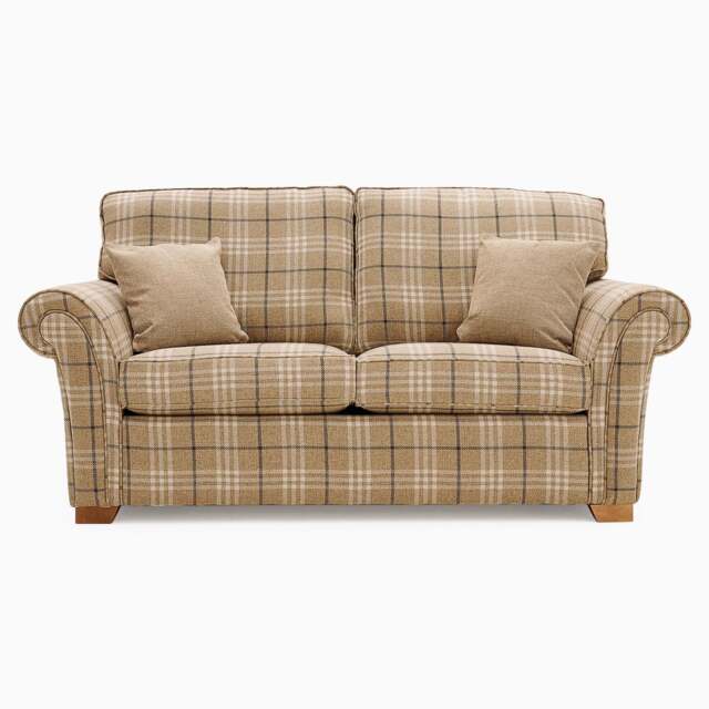 Ripley 2 Seater Sofa Bed - 2 Seater Sofabed - Comfort Mattress Grade F - Regal - 2387 : Litchen Rococo Velvet - image 1