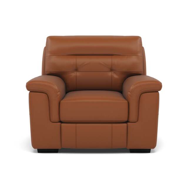 Silva Armchair - Armchair BXS Only - BXS-334E PECAN BROWN - image 1