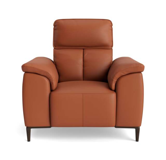 Loma Armchair - Armchair Cat 20S - NWS-605D WARM BROWN - image 1