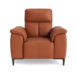 Loma Armchair - Armchair Cat 20S - NWS-605D WARM BROWN