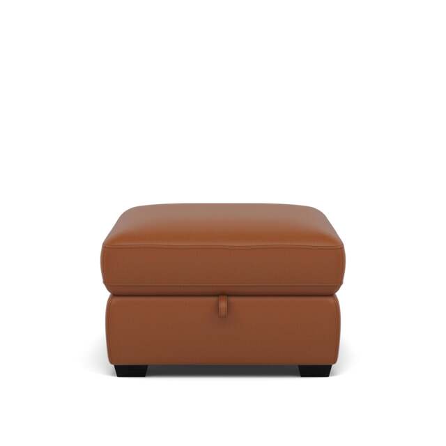 Dino Storage Footstool - Storage footstool BXS Only - BXS-334E PECAN BROWN - image 1