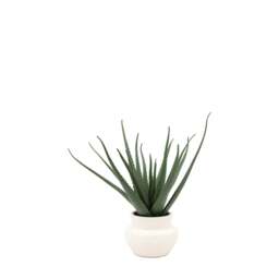 Artificial Aloe Vera In Ceramic Pot - Faux Aloe Vera in Ceramic Pot 41X46CM - thumbnail 4