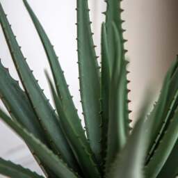 Artificial Aloe Vera In Ceramic Pot - Faux Aloe Vera in Ceramic Pot 41X46CM - thumbnail 2