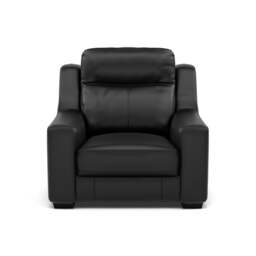 Dino Armchair - Armchair BXS Only - BXS-023C BLACK