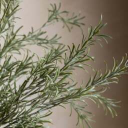 Rosemary Green Set Of 12 Artificial Flowers - DHD Faux Stem Rosemary Green 81CM 12Pk - thumbnail 3
