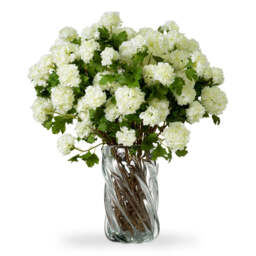 Eichholtz Bouquet Of Hydrangeas Snowball - Bouquet of Hydrangeas Snowball