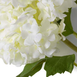 Eichholtz Bouquet Of Hydrangeas Snowball - Bouquet of Hydrangeas Snowball - thumbnail 4