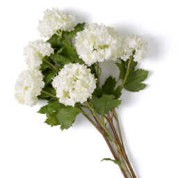 Eichholtz Bouquet Of Hydrangeas Snowball - Bouquet of Hydrangeas Snowball - thumbnail 3