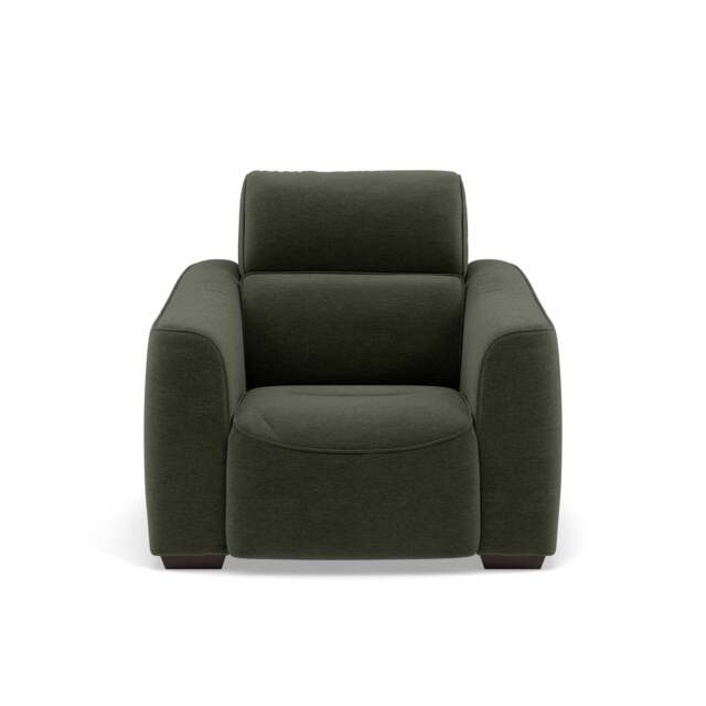 Beck Armchair - Armchair Fabric - FAB-CAN-352 FORREST GREEN - image 1