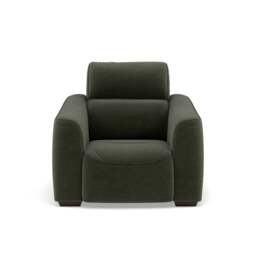 Beck Armchair - Armchair Fabric - FAB-CAN-352 FORREST GREEN - thumbnail 1