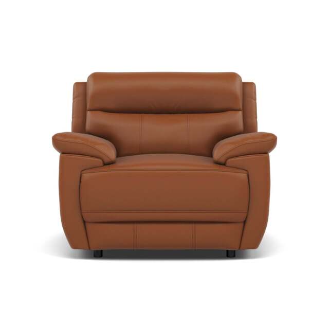 Tranquil Armchair - Armchair Cat BX - BXS-334E PECAN BROWN - image 1