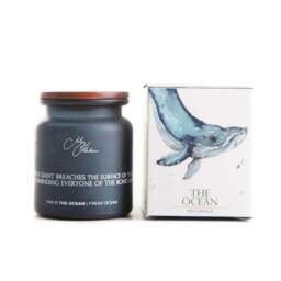 The Ocean Whale Candle - SALE The Ocean Whale Candle - thumbnail 1