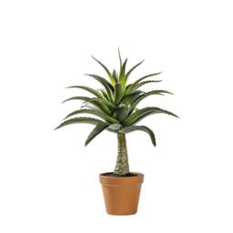 Artificial Potted Agave - Potted Agave 57CM