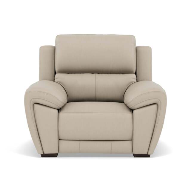Echo Armchair - Armchair Cat 25S - NCS-041E SILVER GREY - image 1