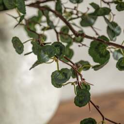 Twig Foliage Set Of 12 Green Artificial Flowers - DHD Faux Stem Twig Foliage Green 119CM 12Pk - thumbnail 3