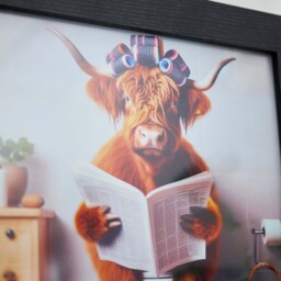 Female Highland Cow On Loo Wall Art - Female Highland Cow On Loo 30x30 - thumbnail 3