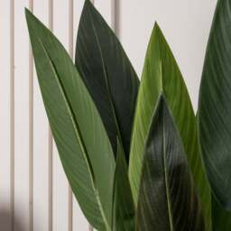 Bird Of Paradise Tree 160CM - 160CM Bird Of Paradise Tree - thumbnail 2