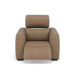 Beck Recliner Armchair - Power Recliner Chair Cat 20S - Power Recliner with USB - NWS-513E PINE BARK