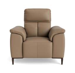 Loma Armchair - Armchair Cat 20S - NWS-513E PINE BARK - thumbnail 1