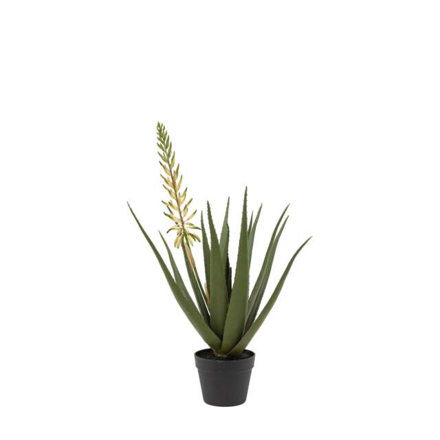 Artificial Aloe Potted Plant With White Flower - DISC Aloe Potted Plant with White Flower - image 1