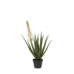 Artificial Aloe Potted Plant With White Flower - DISC Aloe Potted Plant with White Flower