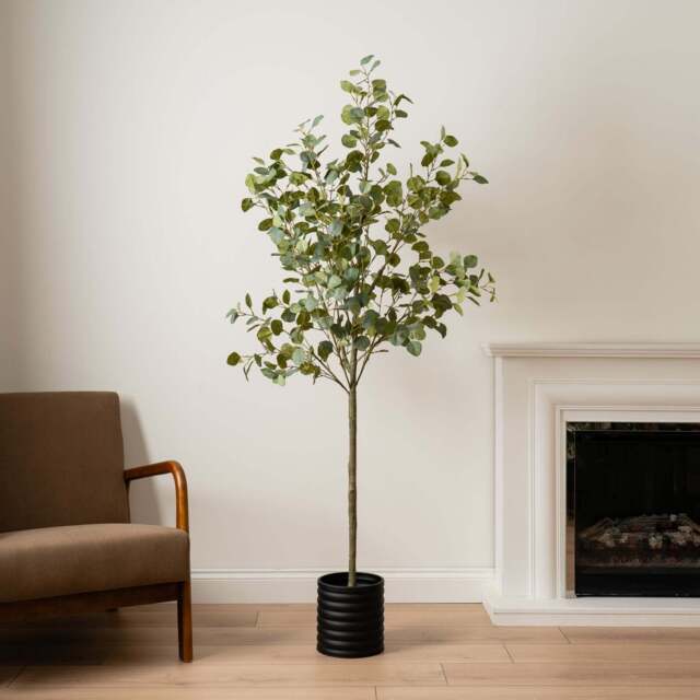 Eucalyptus Tree 185CM - 185CM Eucalyptus Tree - image 1