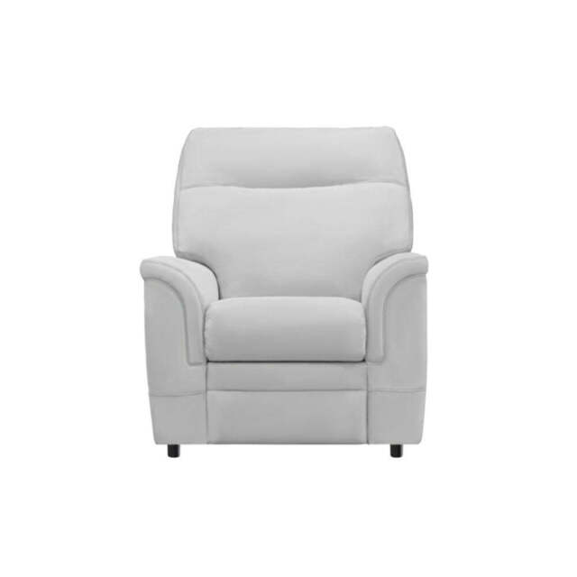 Parker Knoll Hudson Armchair - Armchair M Grade Leather - Madri Moss - image 1
