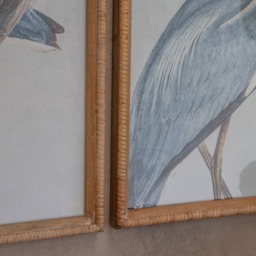 Moreton Set of 2 Heron Framed Prints - thumbnail 4