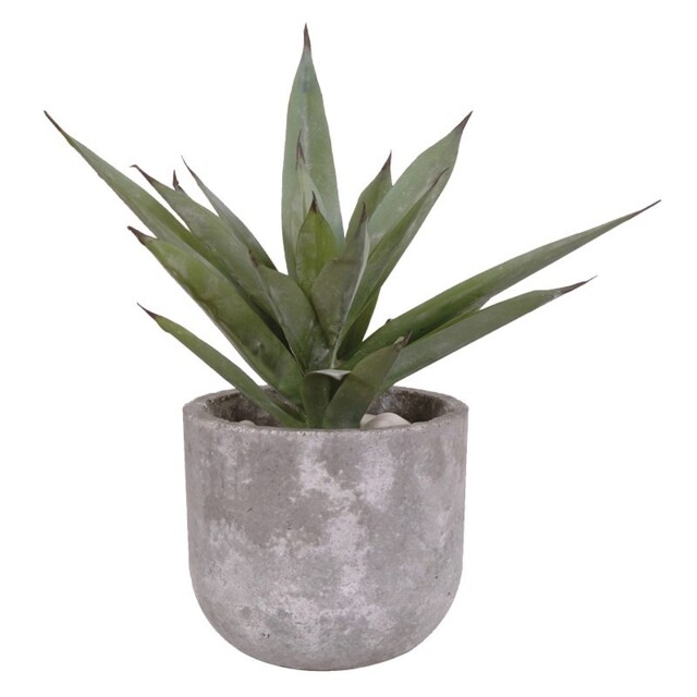 Artificial Aloe Vera Plant by Sweetpea & Willow | uFurnish.com