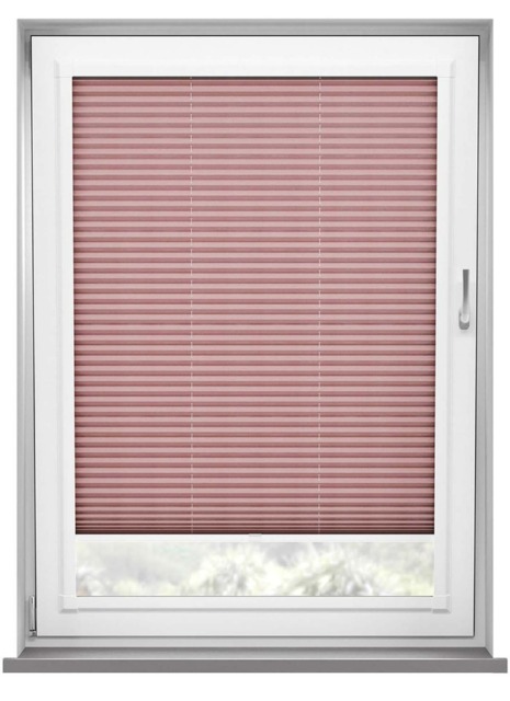 Xyla Rose Pleated Blind - image 1