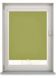 Splash Vine Green Roller Blind