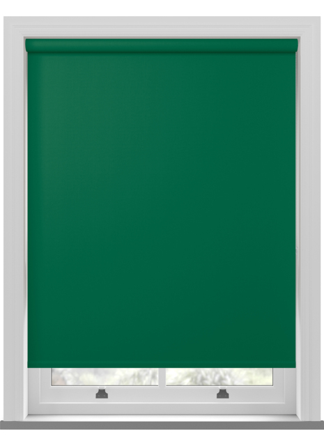 Bella Cacti Roller Blind - image 1