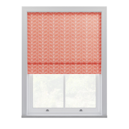 Orla Kiely Linear Stem Bubblegum Roman Blinds Roman Blind - thumbnail 2