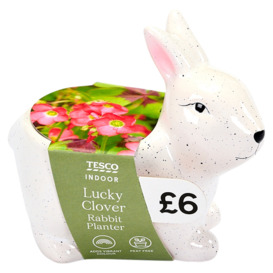 Tesco Lucky Clover Rabbit Planter