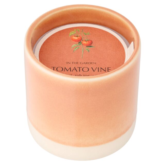 F&F Home In the Garden Tomato Vine Small Candle 110g