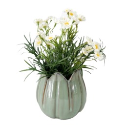 Bayswood Flora & Fern Daisies in a petal vase