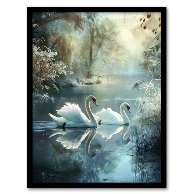 Graceful Swans Tranquil Winter Lake Living Room Black Framed Wall Art Print A4