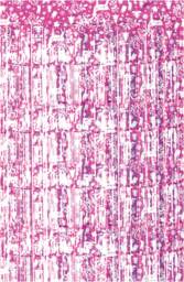 Christmas Reindeer Tinsel Curtain 2.5Mx1M Pink