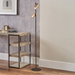 Xena Black and Rose Gold Metal LED Floor Lamp Black Black 1