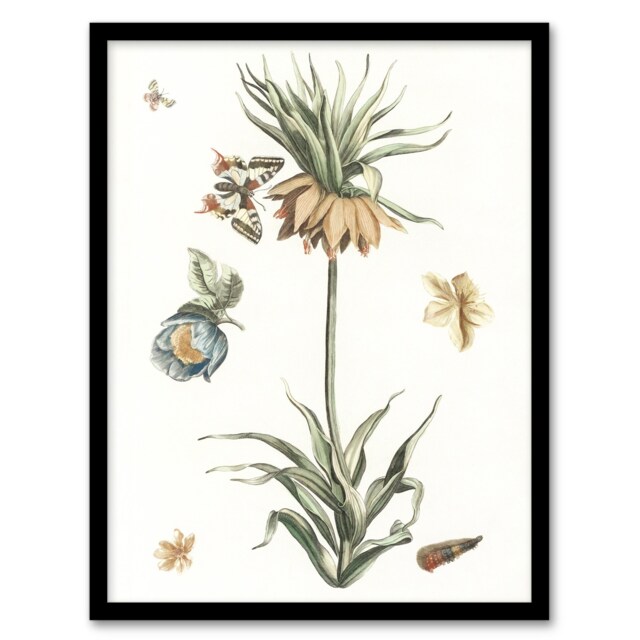 "Keizerskroon Tulip and Butterfly Teyler Framed Wall Art Print 12X16"""