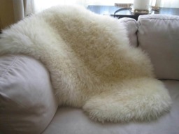 SNUGRUGS Genuine Single Pelt Sheepskin Rug Cream Natural 110cm x 65cm