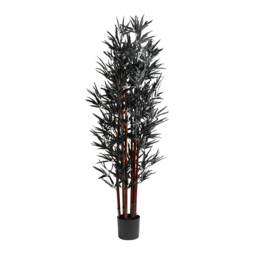 157Cm Black Bamboo Tree Black One Size