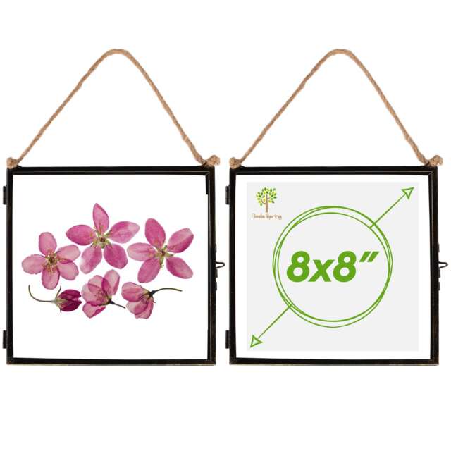 "Nicola Spring Hanging Metal Photo Frames - 8"" x 8"" - Black - Pack of 2 Black Black One Size"