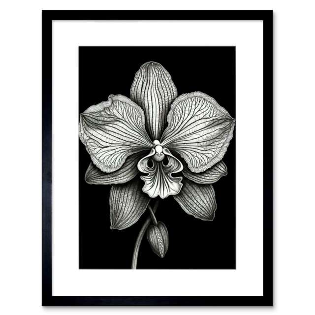 "Detailed Orchid Flower Petals Black White 9x7"" Black Framed Wall Art Print"