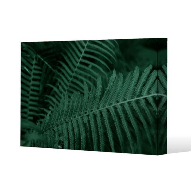 Plants background. Biophilia trend (Canvas Print) Cream