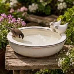 CKB LTD Ceramic Bird Bath for Garden Birds Wildlife Drinking Bowl, Cream