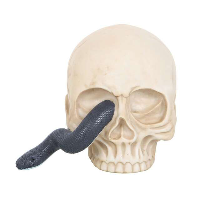 Something Different Skull & Snake Ornament - White/Black - One Size