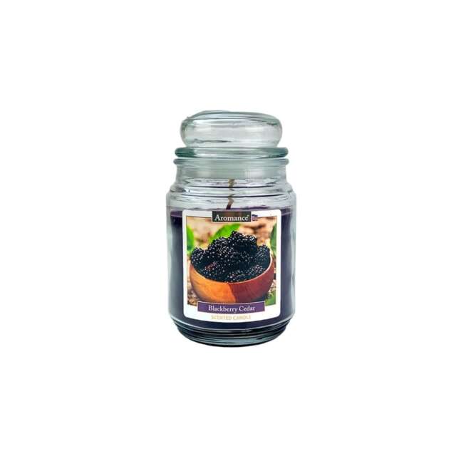 Aromance Blackberry Scented Jar Candle 18oz